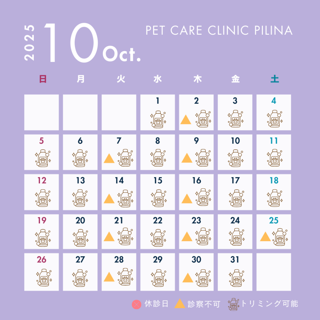 10月診療スケジュールのお知らせ🎃