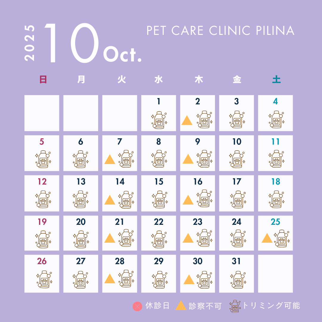 10月診療スケジュールのお知らせ🎃
