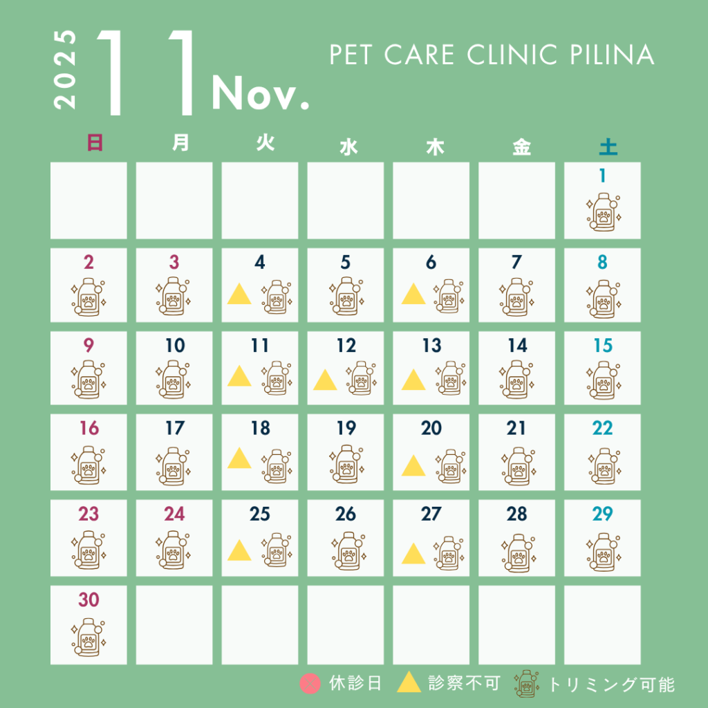 11月診療スケジュールのお知らせ🍁