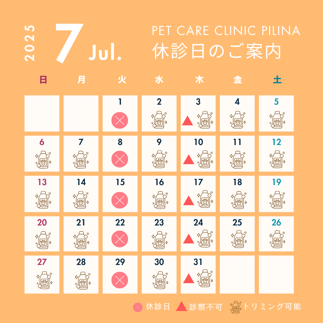 7月診療スケジュールのお知らせ