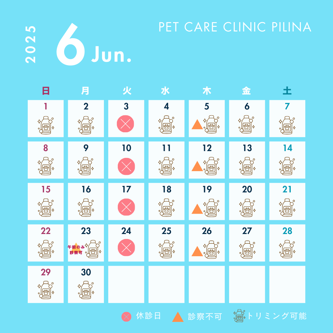 6月診療スケジュールのお知らせ