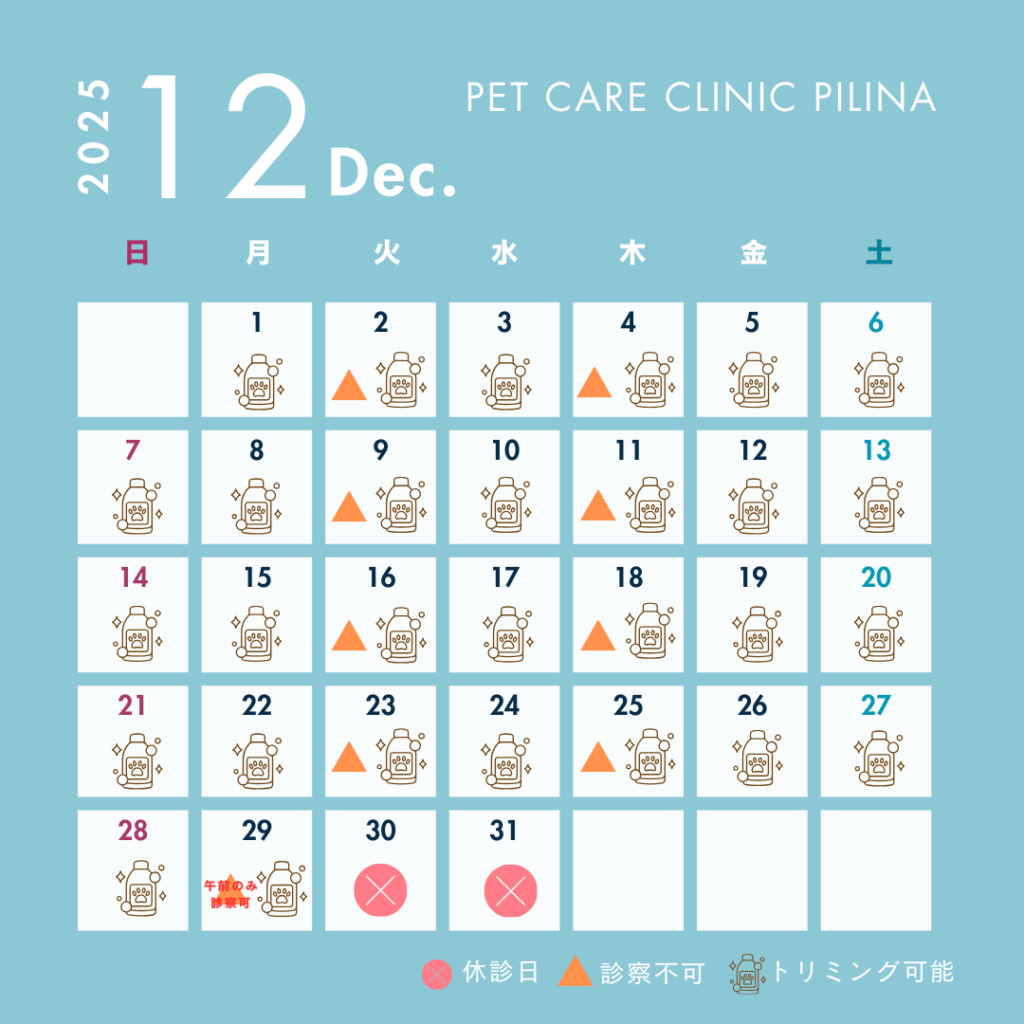 12月診療スケジュールのお知らせ☃️