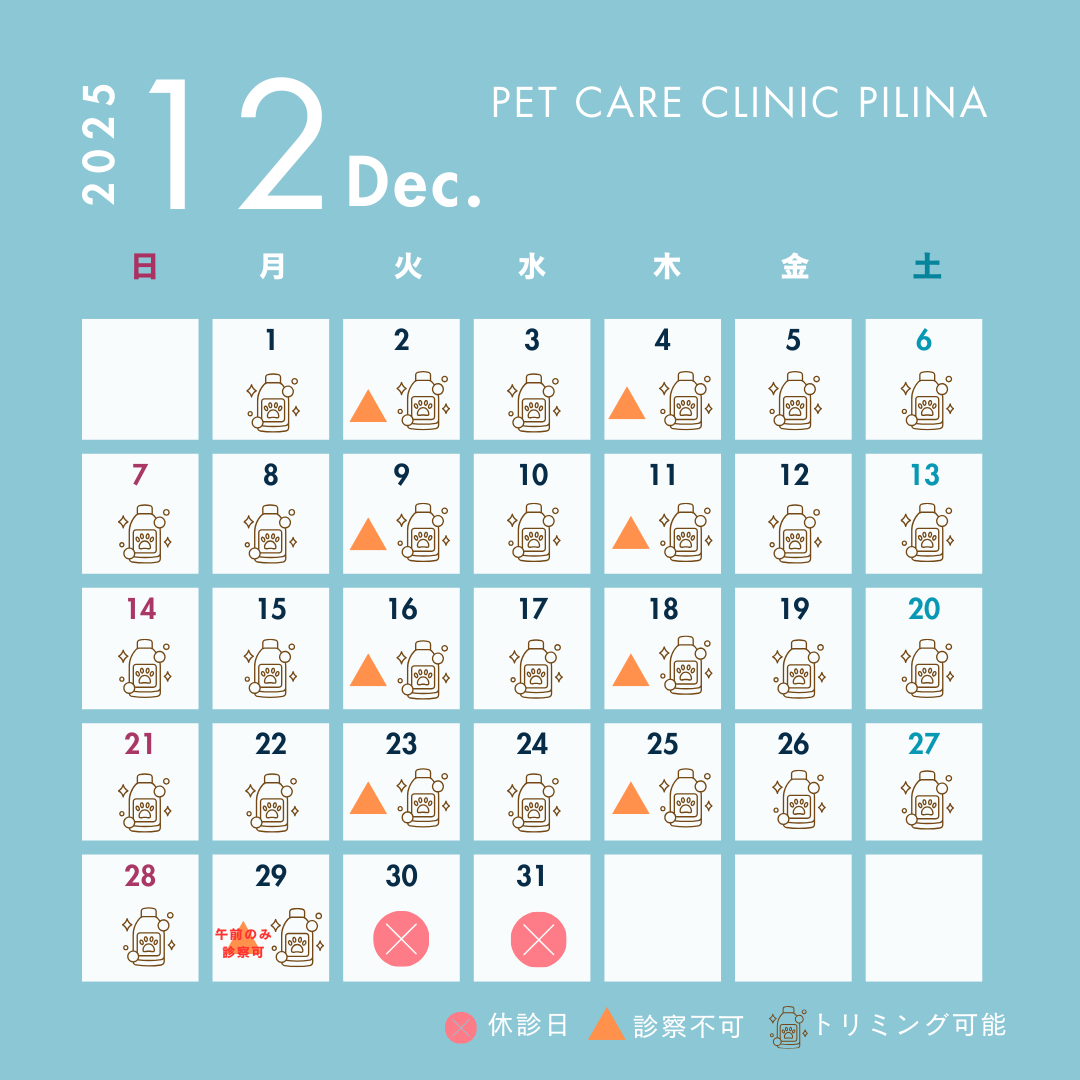 12月診療スケジュールのお知らせ☃️