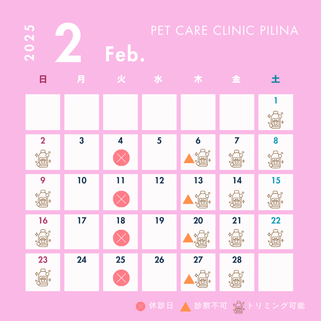 2月診療スケジュールのお知らせ