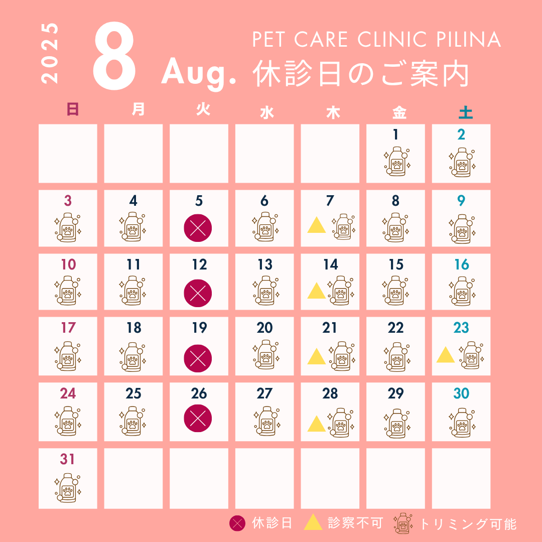8月診療スケジュールのお知らせ