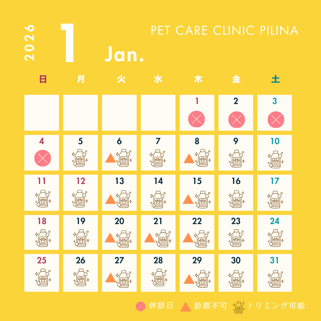 1月診療スケジュールのお知らせ🎍