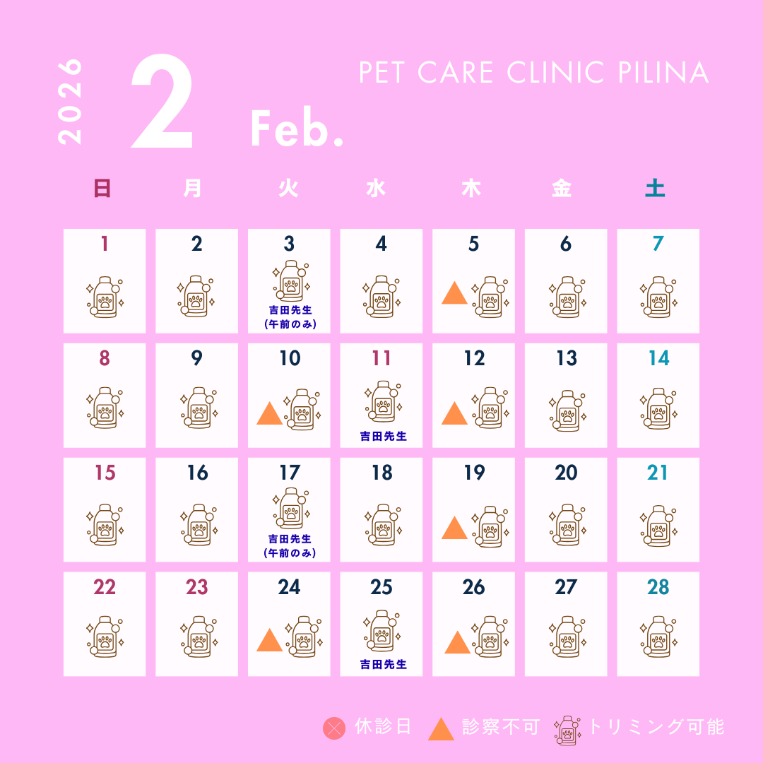 2月診療スケジュールのお知らせ❄️