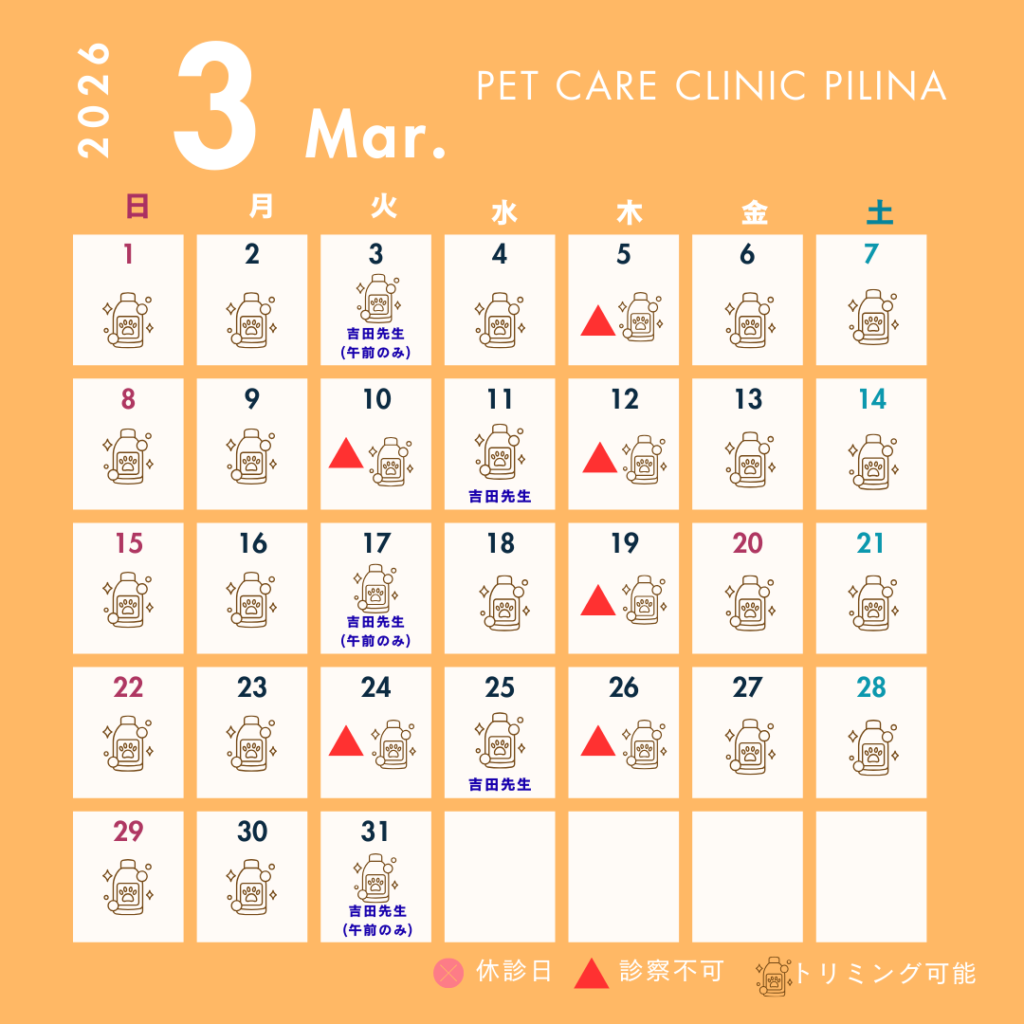 3月診療スケジュールのお知らせ🏵️