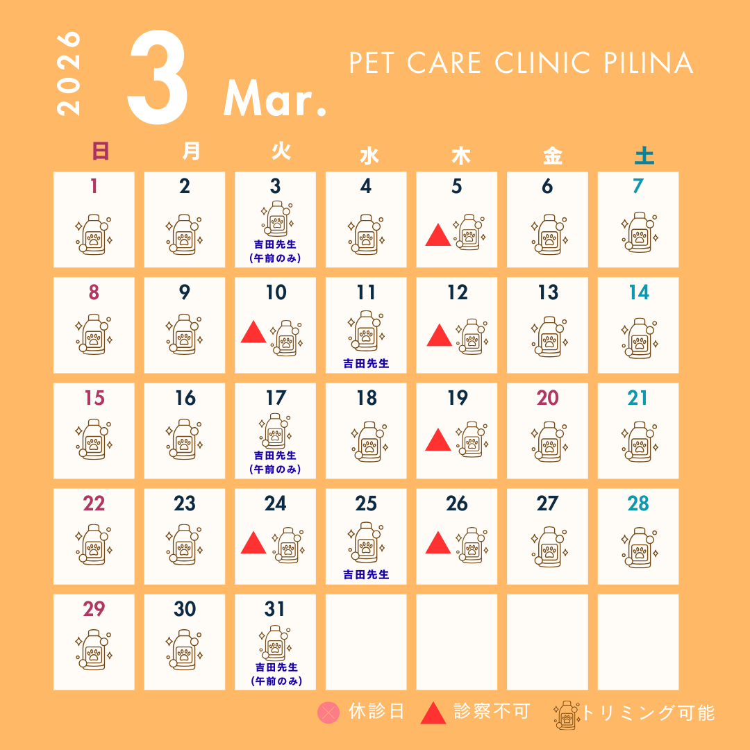 3月診療スケジュールのお知らせ🏵️