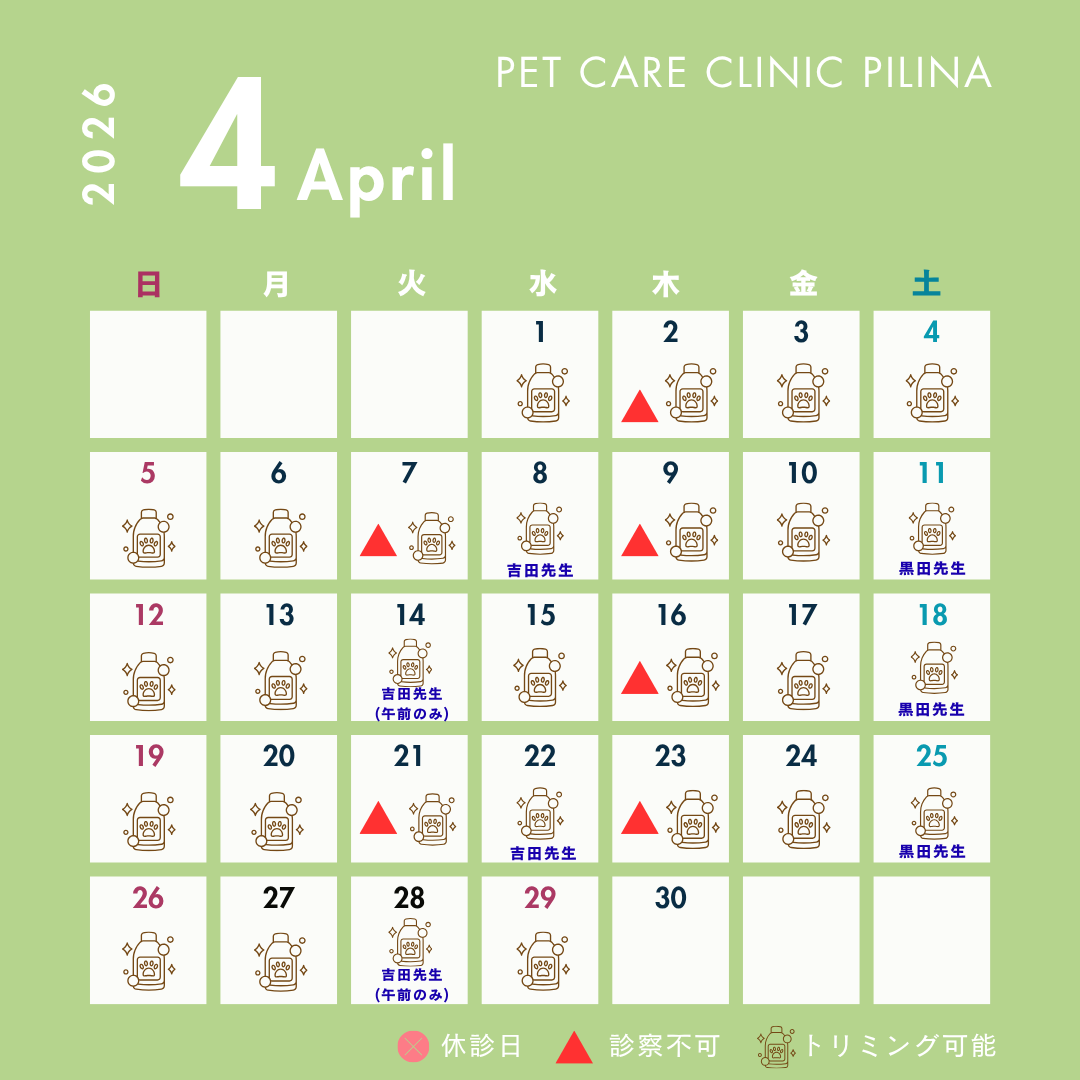 4月診療スケジュールのお知らせ🌸