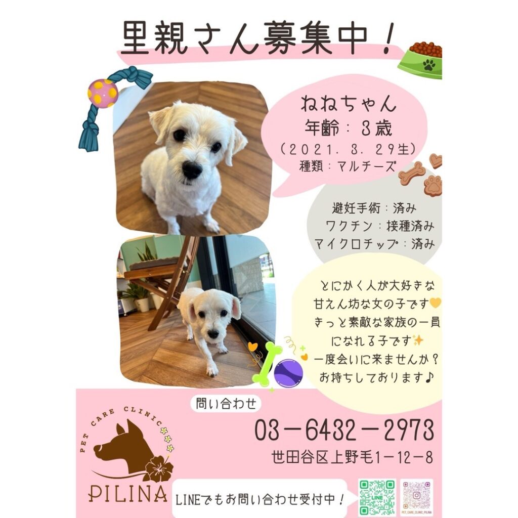里親さん募集中