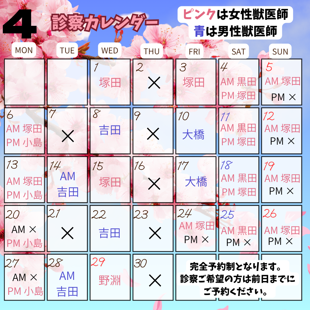 産休に伴う4月の獣医師勤務表のお知らせ