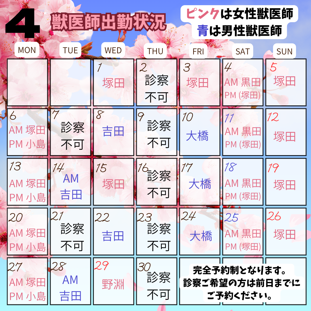 産休に伴う4月の獣医師勤務表のお知らせ