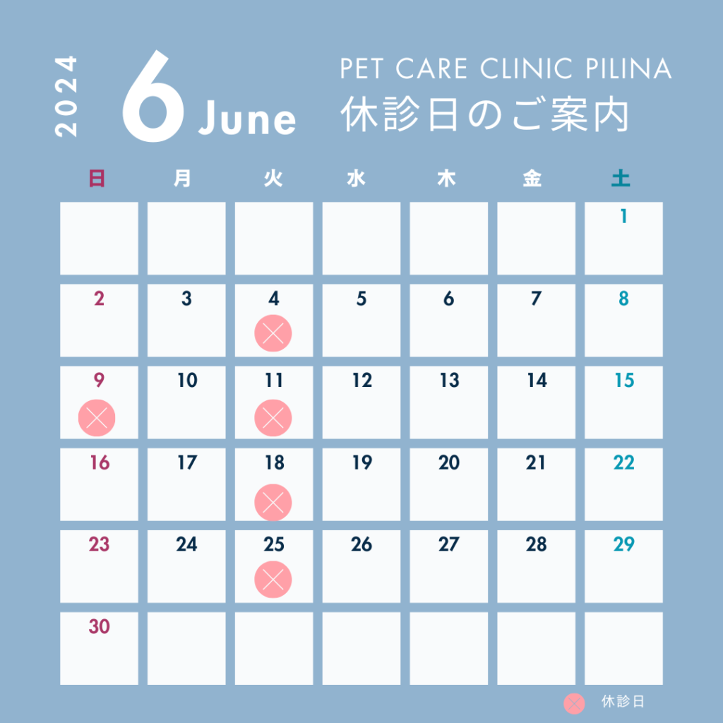 6月の休診日ご案内