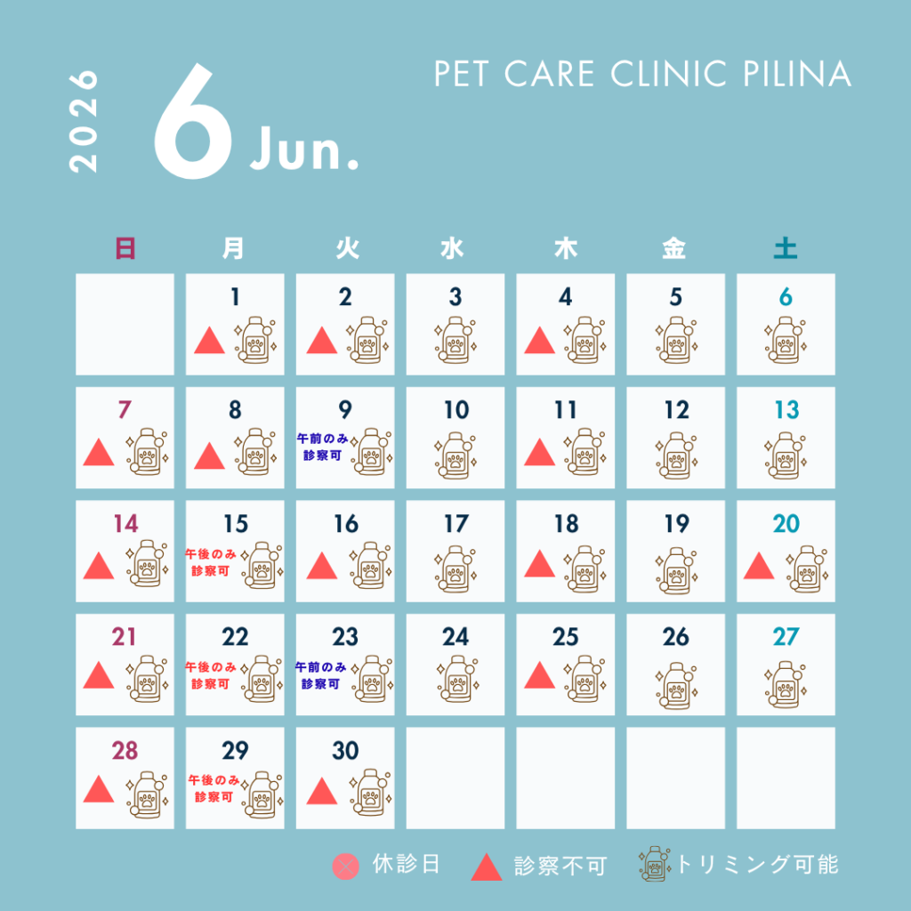☂️6月診療スケジュールのお知らせ