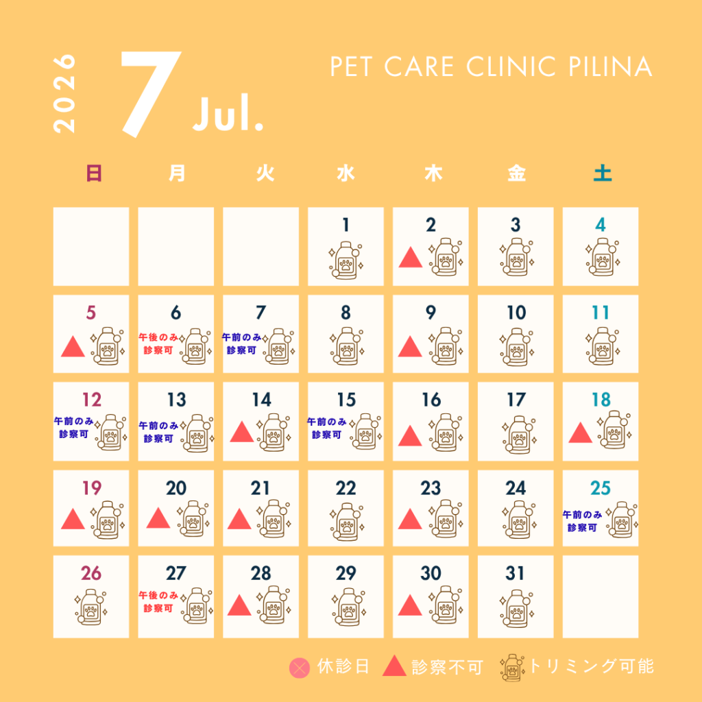 7月診療スケジュールのお知らせ🐬