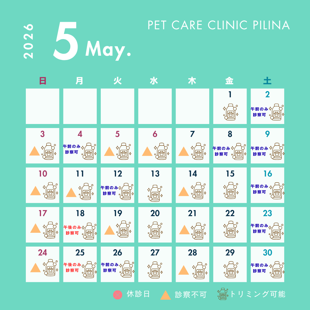 🎏5月診療スケジュールのお知らせ